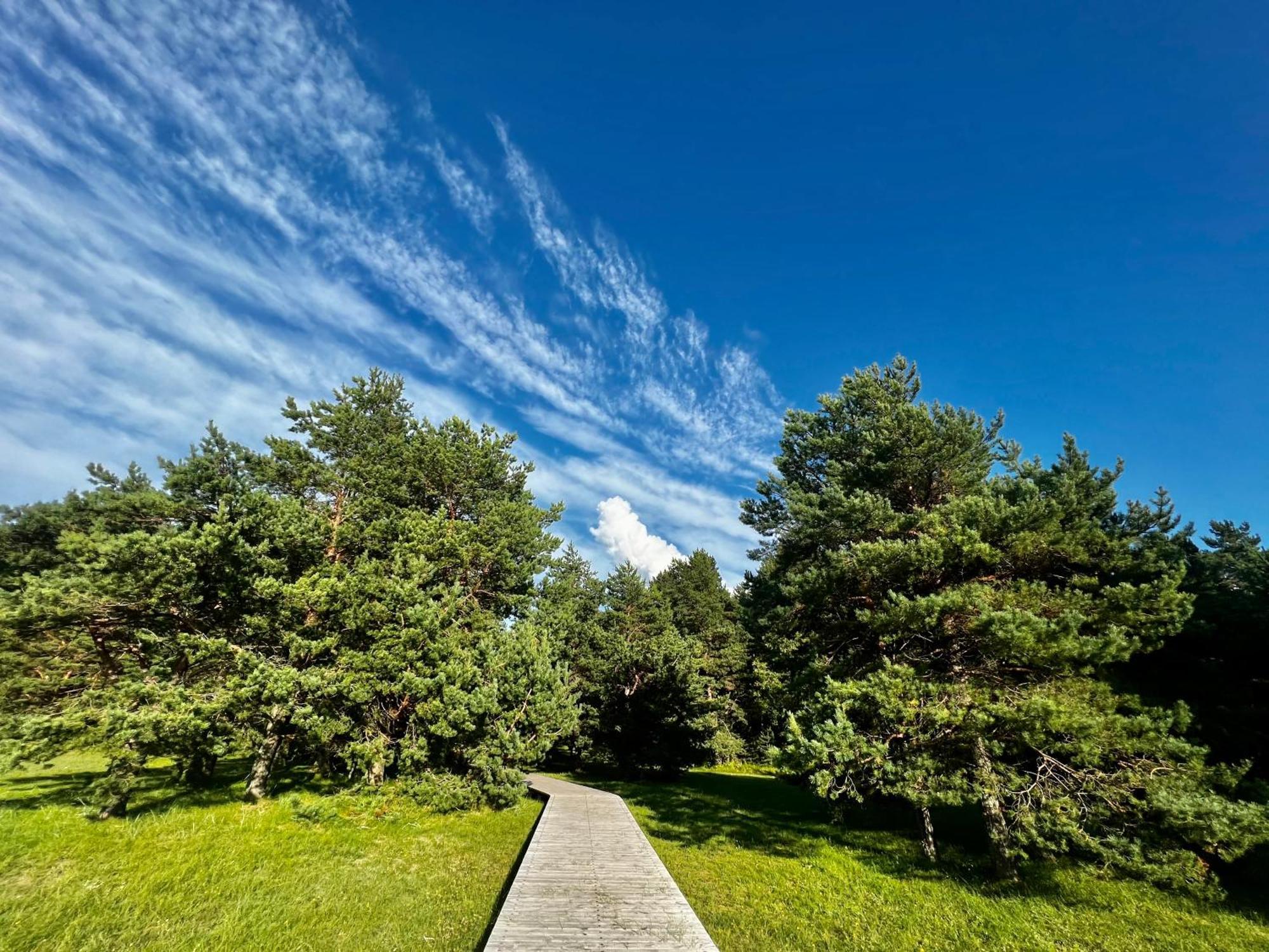 Eco-House Ainazi Villa Dış mekan fotoğraf